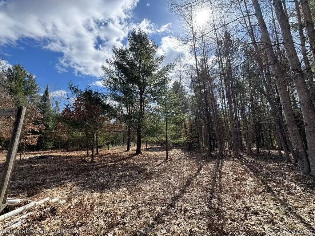 4233 Hardacre Trail Roscommon Township MI 48629