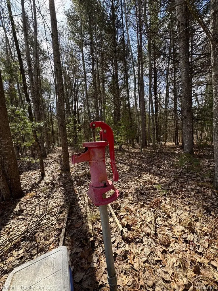 4233 Hardacre Trail Roscommon Township MI 48629