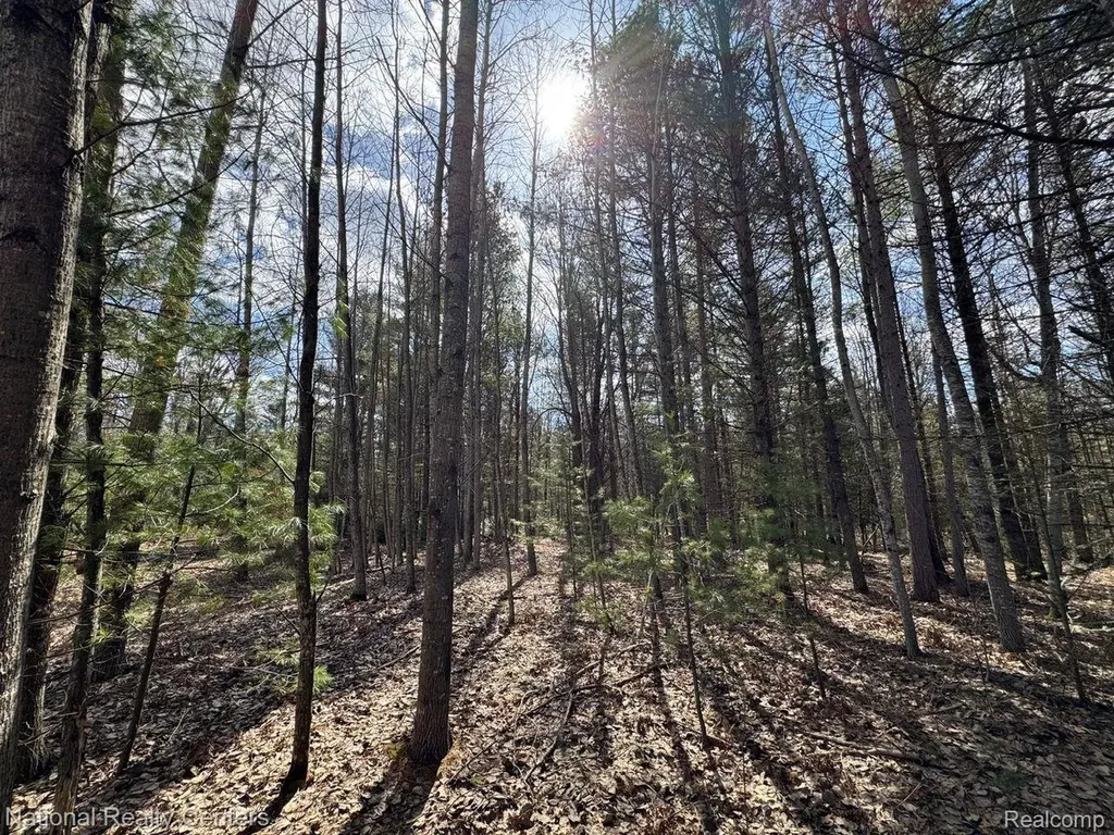 4233 Hardacre Trail Roscommon Township MI 48629