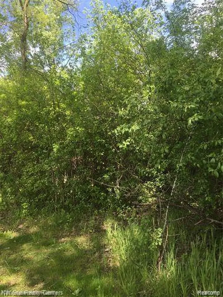 0000 Highland Park Drive Highland Charter Township MI 48356