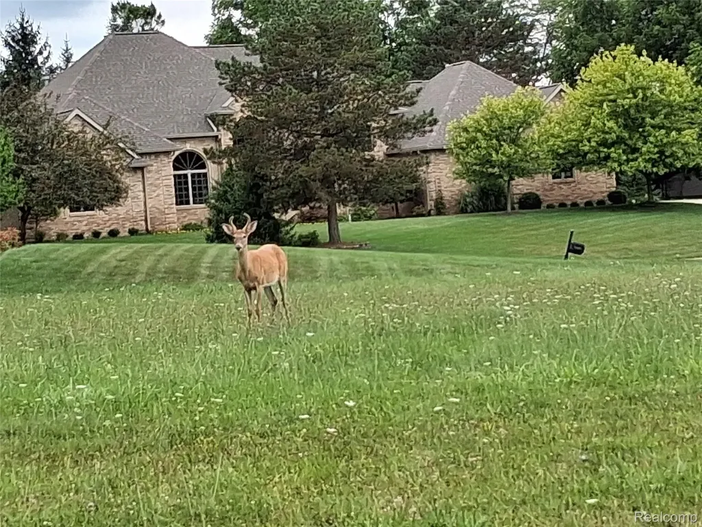 Lot 21 Burlwood Circle Grand Blanc Charter Township MI 48439