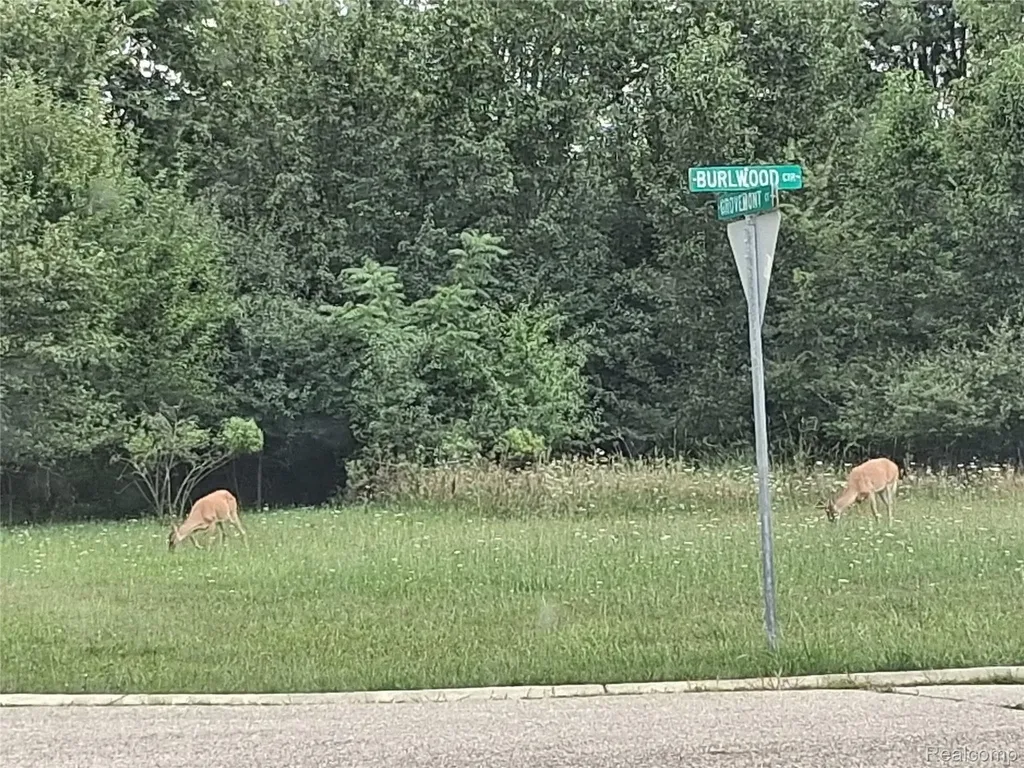 Lot 21 Burlwood Circle Grand Blanc Charter Township MI 48439