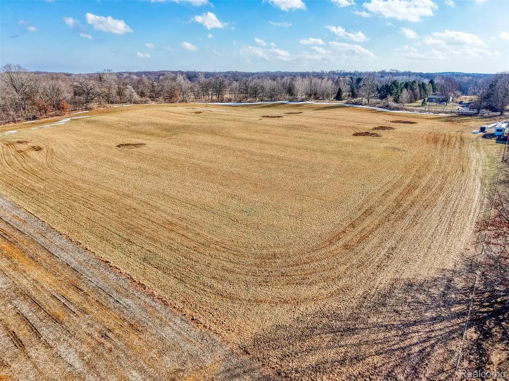 10 Wasson Road Unadilla Township MI 48137