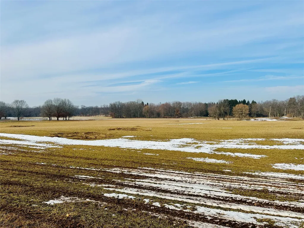 10 Wasson Road Unadilla Township MI 48137
