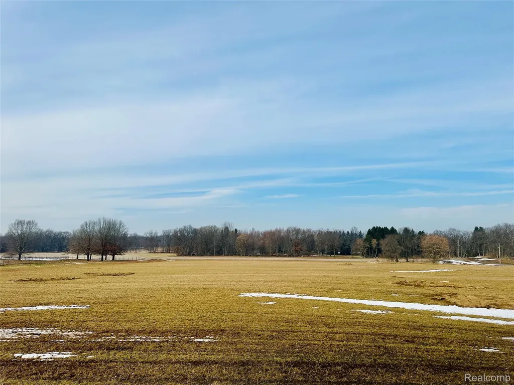 10 Wasson Road Unadilla Township MI 48137