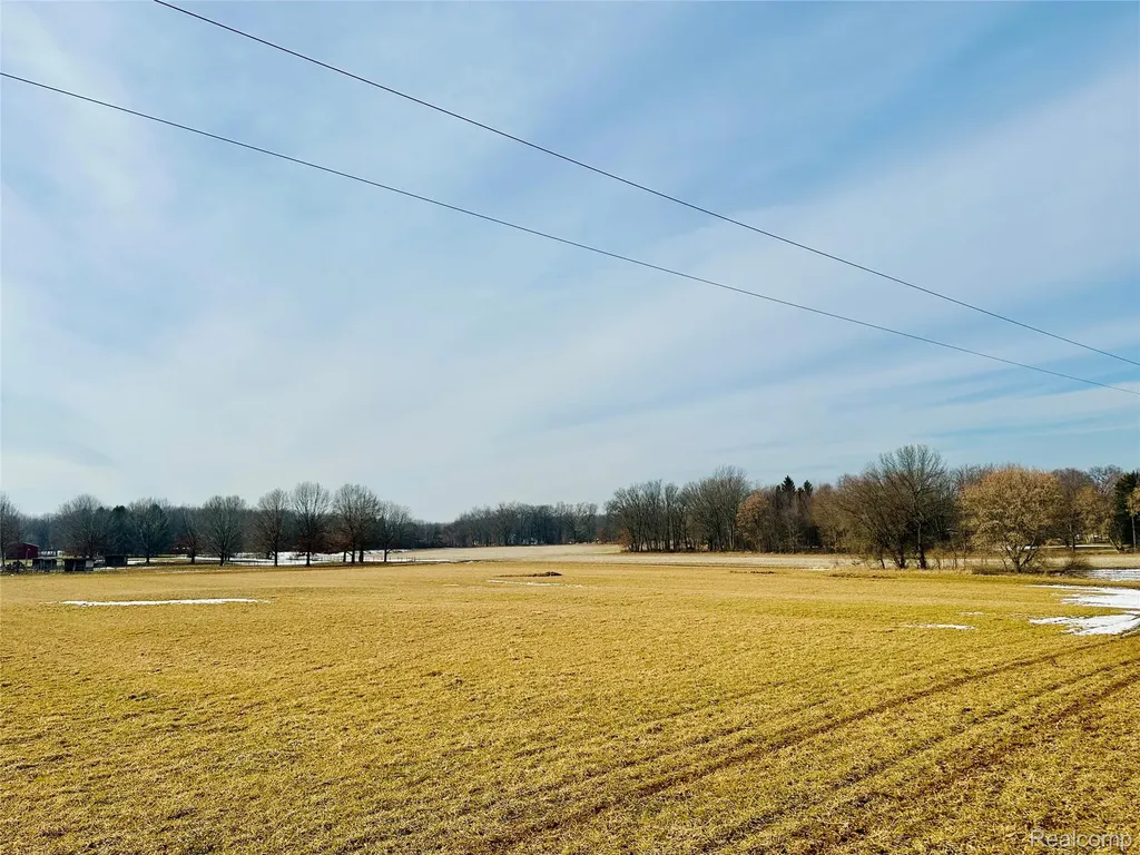 10 Wasson Road Unadilla Township MI 48137