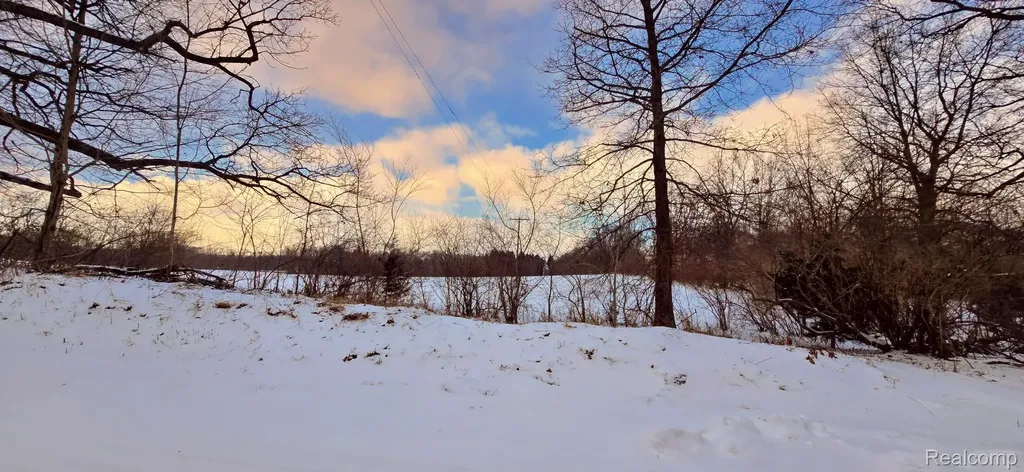 10 Wasson Road Unadilla Township MI 48137