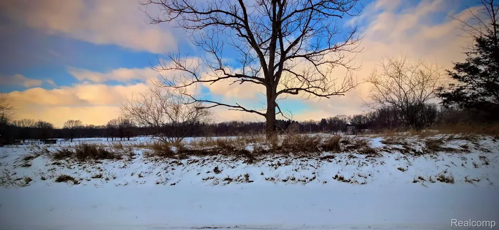 10 Wasson Road Unadilla Township MI 48137