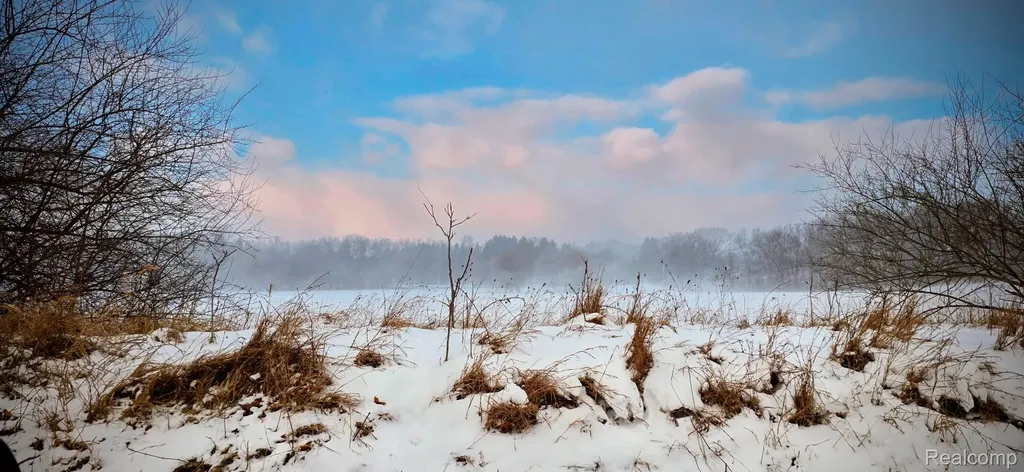 10 Wasson Road Unadilla Township MI 48137