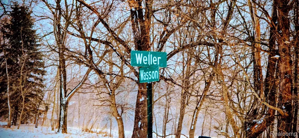 10 Wasson Road Unadilla Township MI 48137