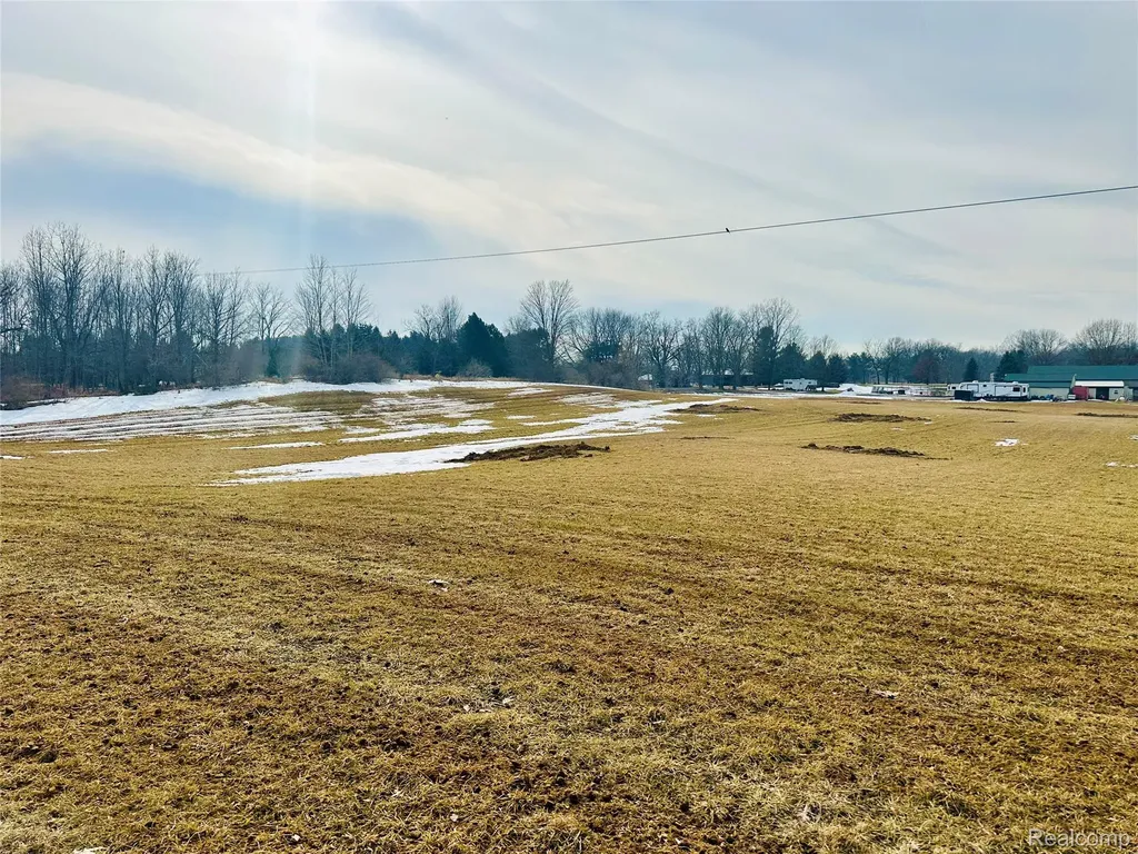 10 Wasson Road Unadilla Township MI 48137