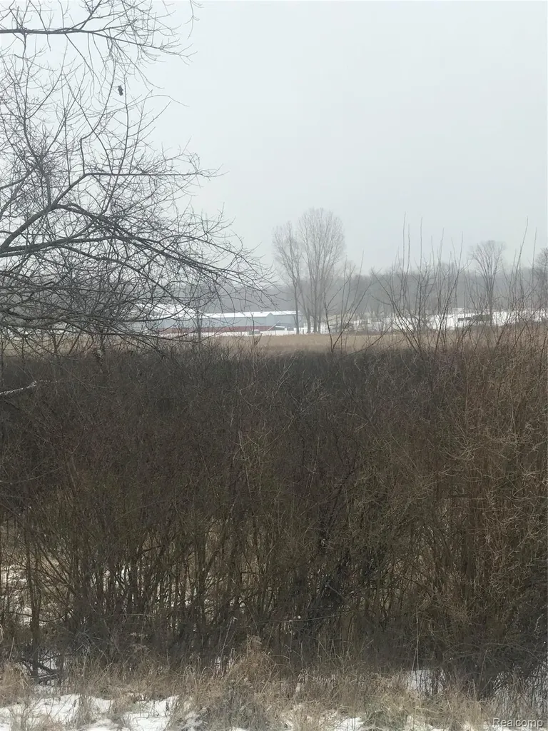 Vl Hinchey Road Putnam Township MI 48169