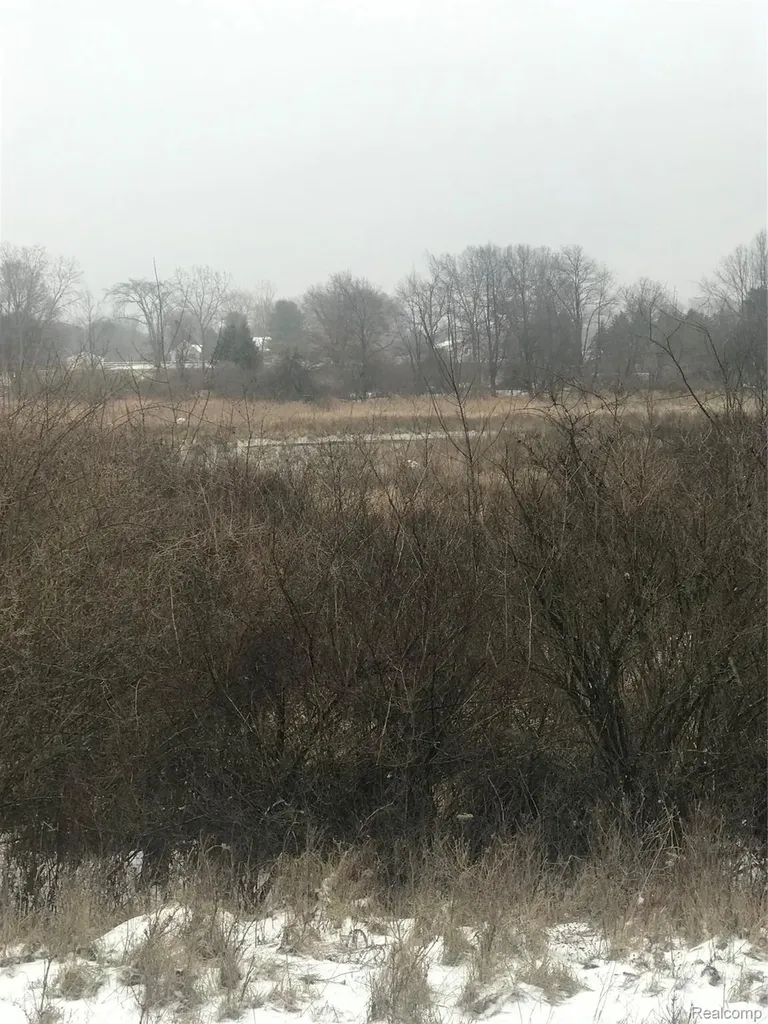 Vl Hinchey Road Putnam Township MI 48169