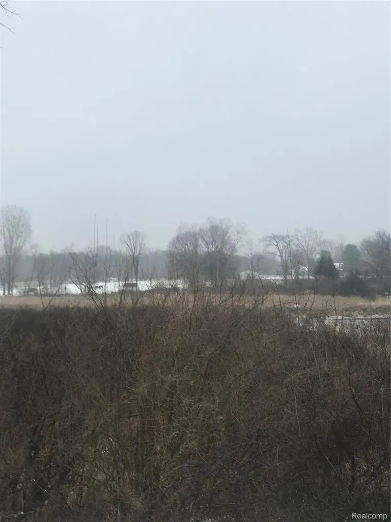 Vl Hinchey Road Putnam Township MI 48169