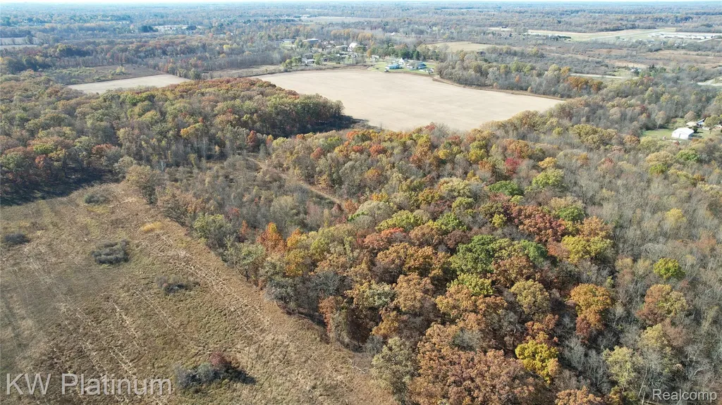 Vacant 2 - 28 Mile Road Ray Township MI 48096