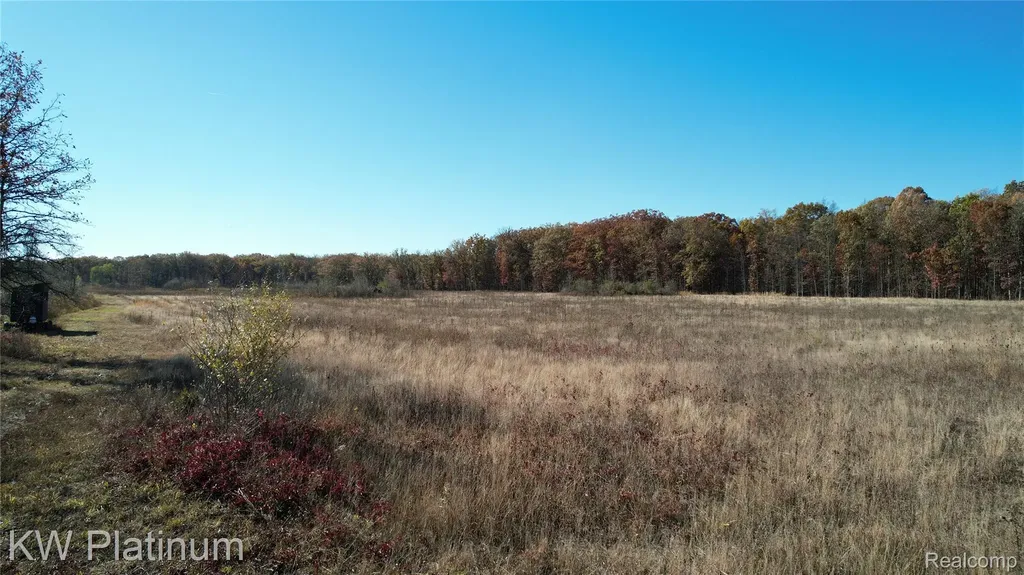 Vacant 2 - 28 Mile Road Ray Township MI 48096