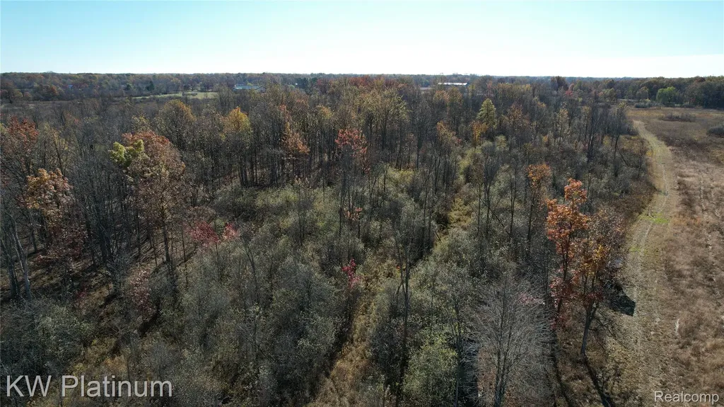Vacant 2 - 28 Mile Road Ray Township MI 48096
