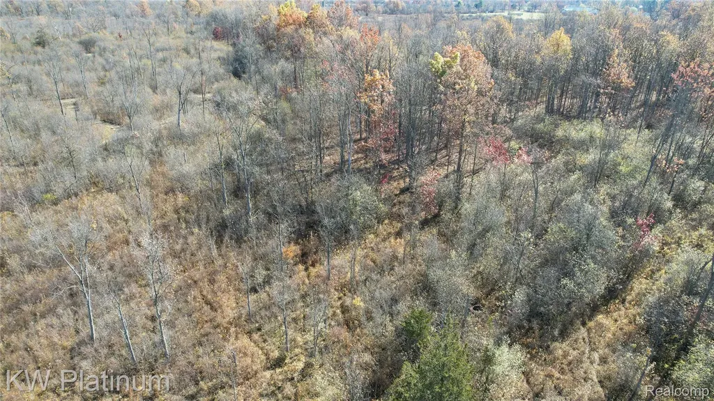 Vacant 2 - 28 Mile Road Ray Township MI 48096