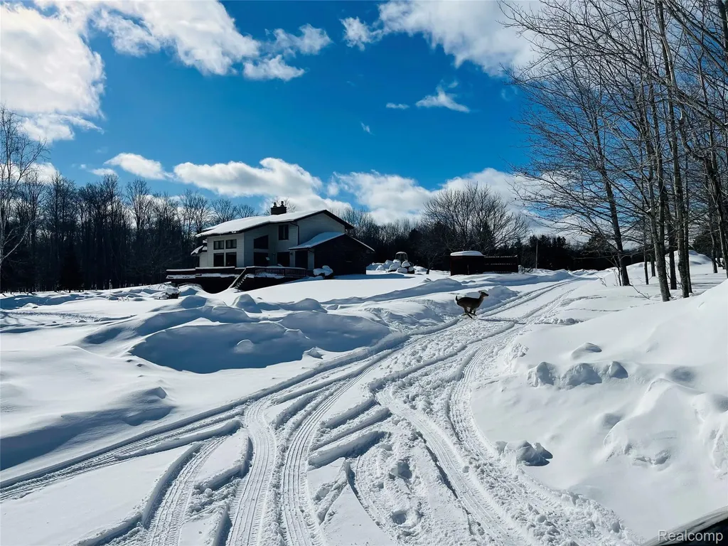 21805 S Wilwin Road Trout Lake Township MI 49793