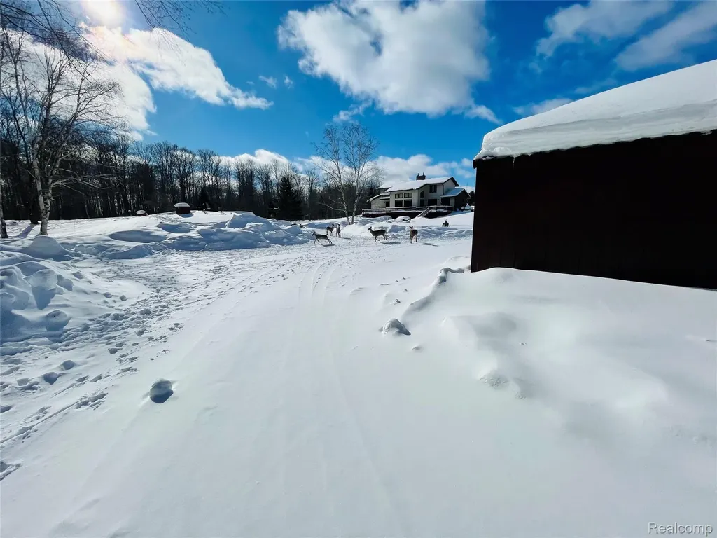 21805 S Wilwin Road Trout Lake Township MI 49793