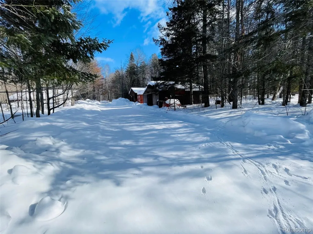 21805 S Wilwin Road Trout Lake Township MI 49793