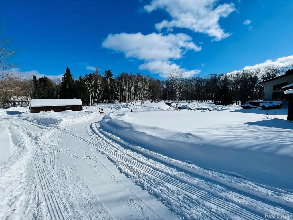 21805 S Wilwin Road Trout Lake Township MI 49793