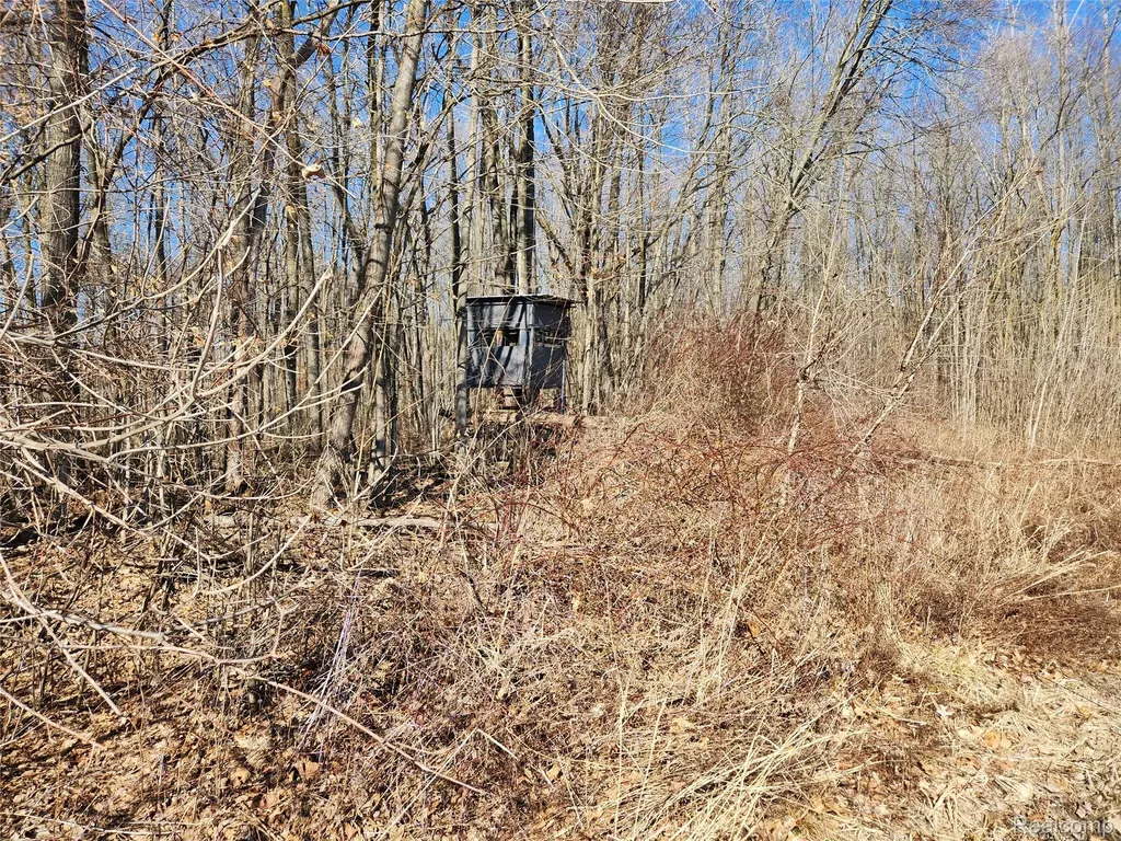 Lot #12 Kunstman Road Ray Township MI 48096