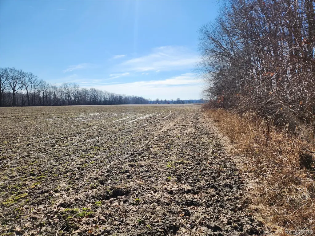 Lot #12 Kunstman Road Ray Township MI 48096