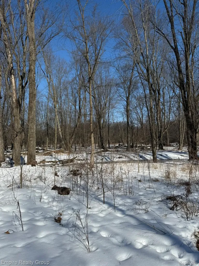 660 Fitchburg Road Bunker Hill Township MI 49285