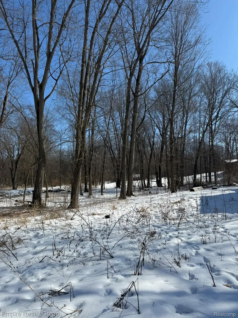660 Fitchburg Road Bunker Hill Township MI 49285