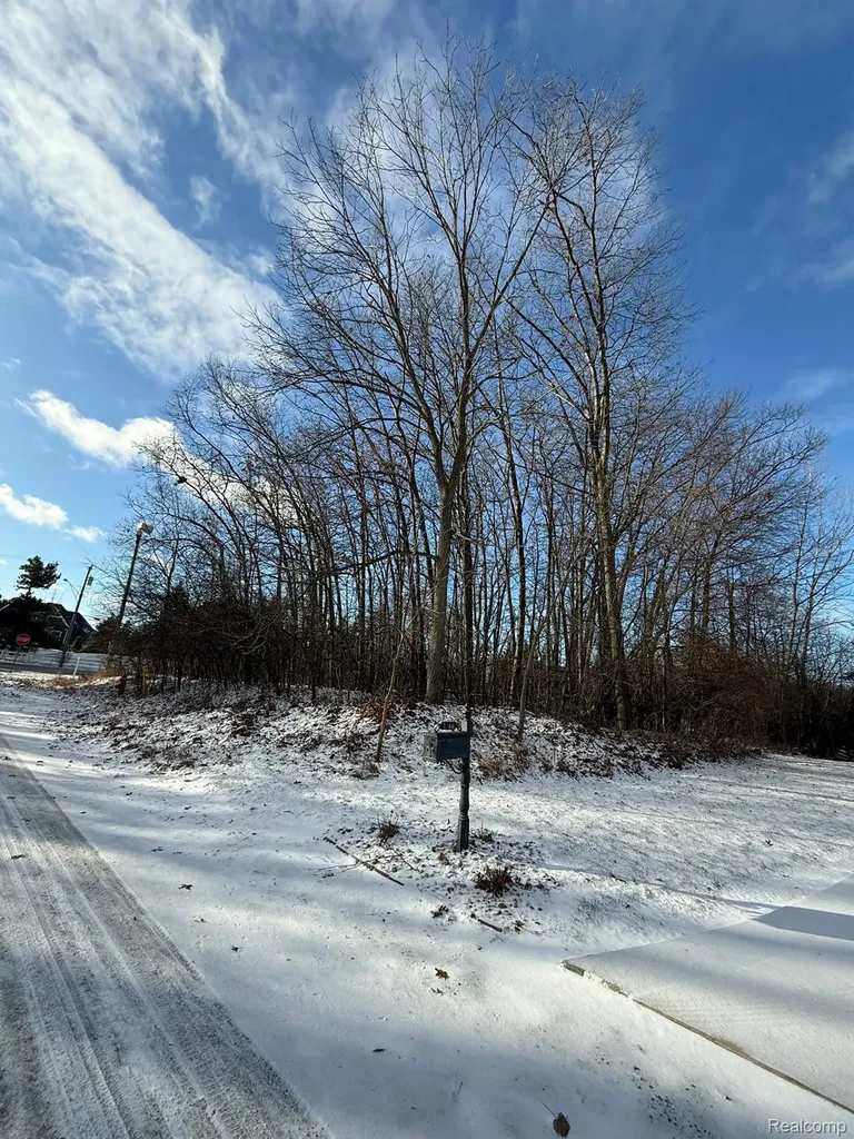 2390 Klingensmith Road Bloomfield Charter Township MI 48302