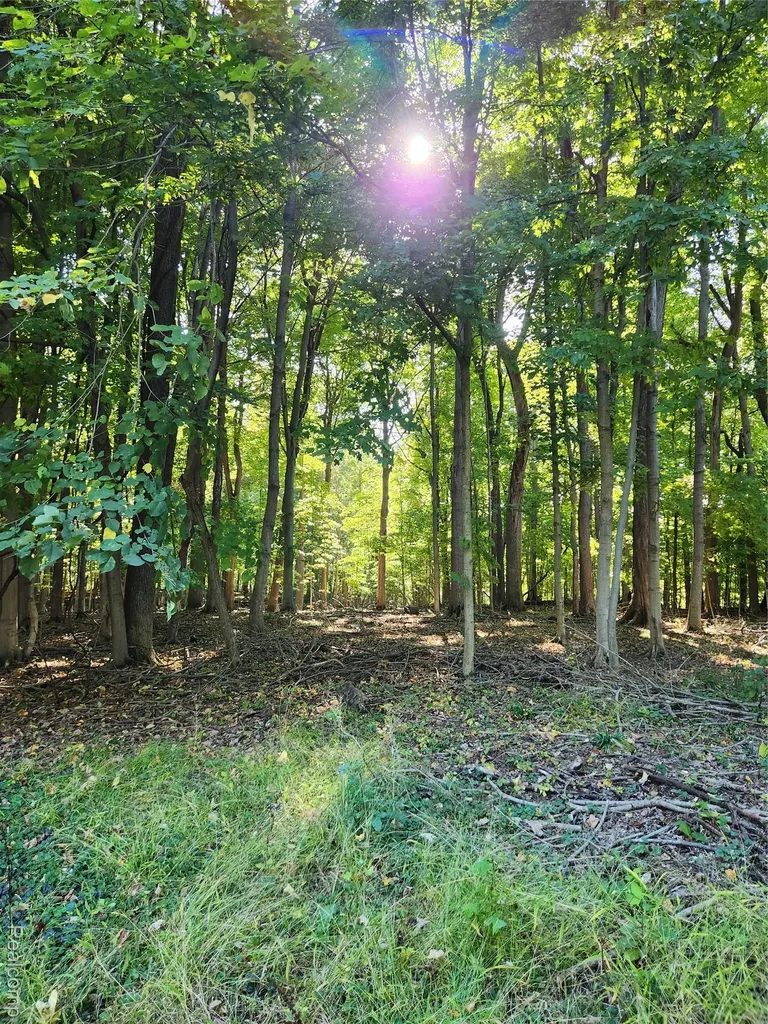 15973 Walnut Street Buchanan Township MI 49107