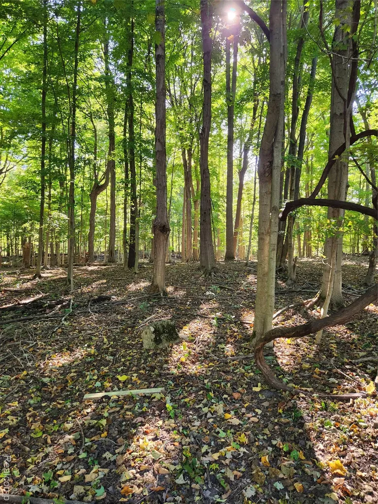 15973 Walnut Street Buchanan Township MI 49107