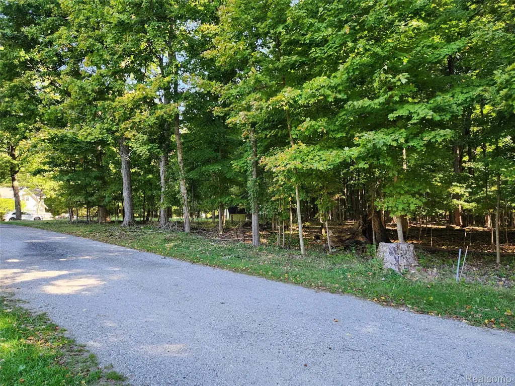 15973 Walnut Street Buchanan Township MI 49107