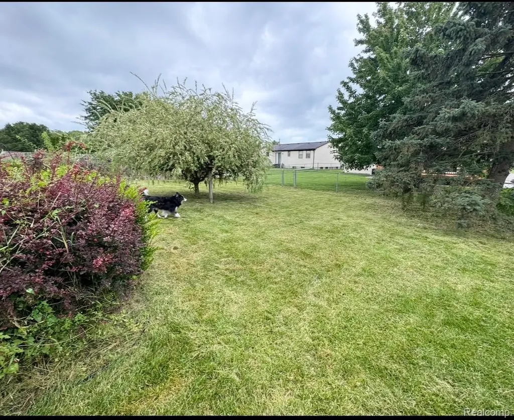 28720 Bingham Drive Chesterfield Township MI 48047