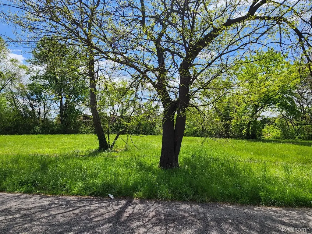 570 Westminster Street Detroit City MI 48202