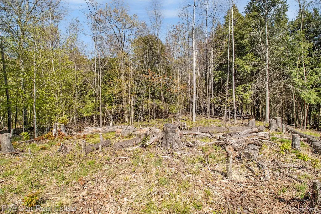 0000 Smith Road Onekama Township MI 49675