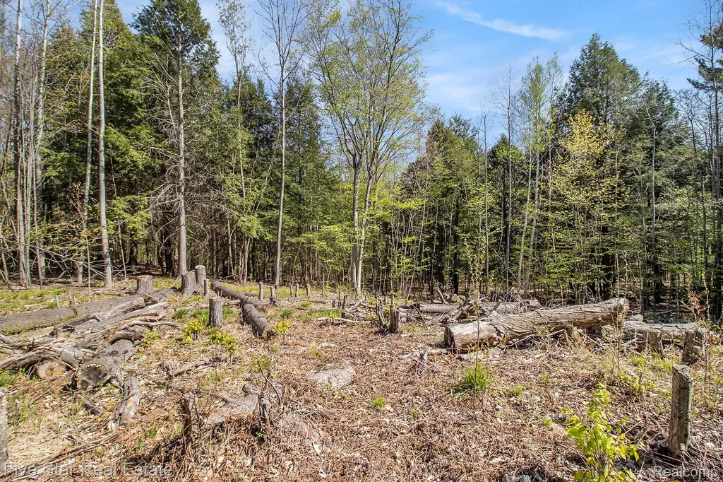 0000 Smith Road Onekama Township MI 49675