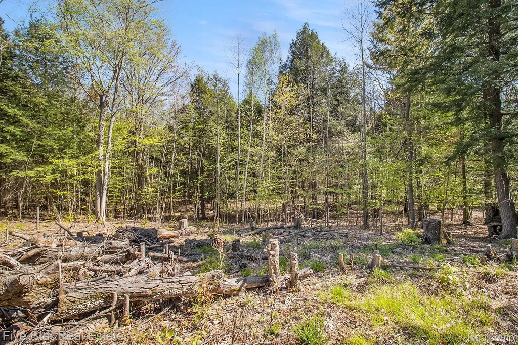 0000 Smith Road Onekama Township MI 49675