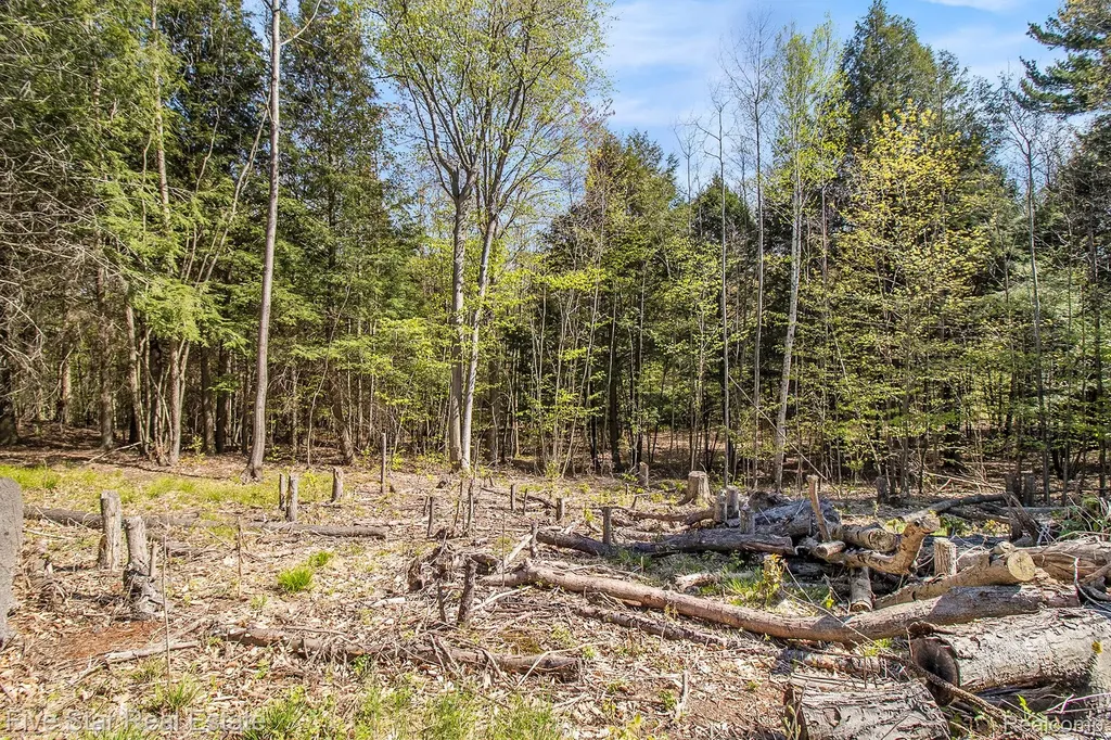 0000 Smith Road Onekama Township MI 49675