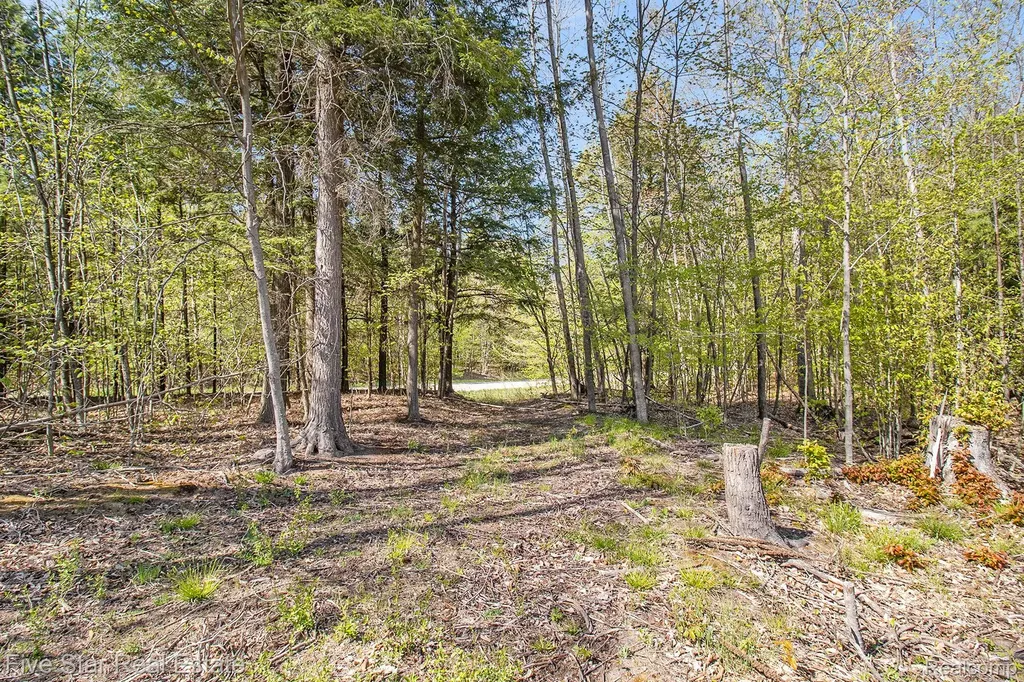 0000 Smith Road Onekama Township MI 49675