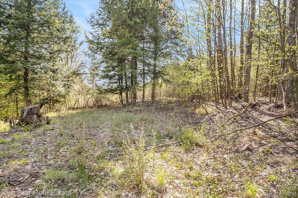 0000 Smith Road Onekama Township MI 49675