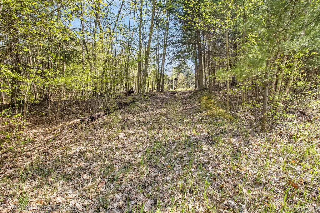 0000 Smith Road Onekama Township MI 49675