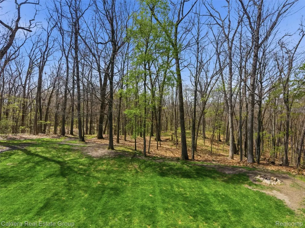 4416 Medford Hill Drive Metamora Township MI 48455