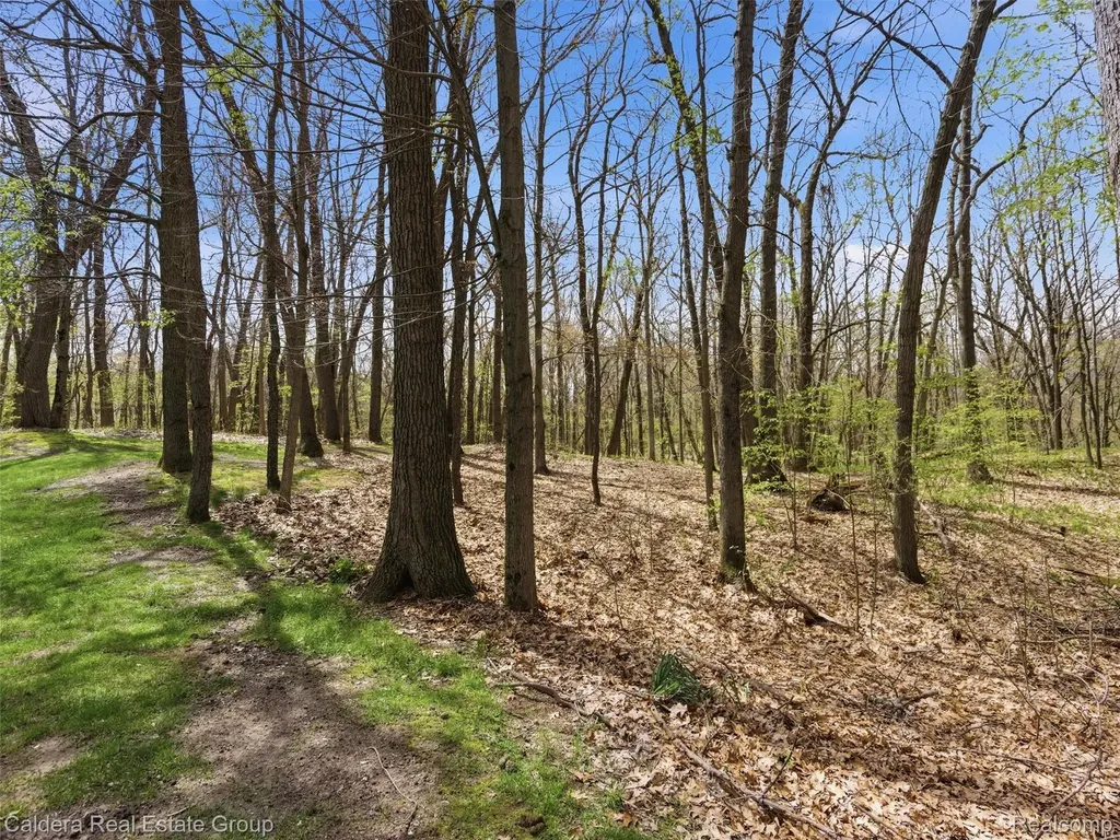 4416 Medford Hill Drive Metamora Township MI 48455