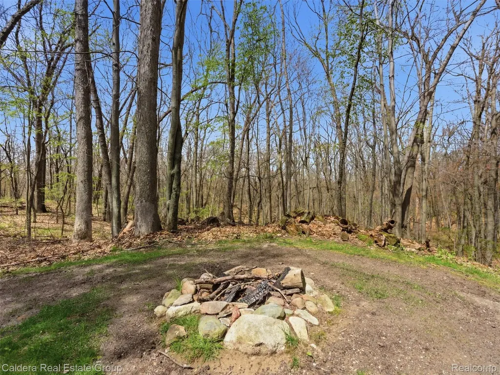 4416 Medford Hill Drive Metamora Township MI 48455