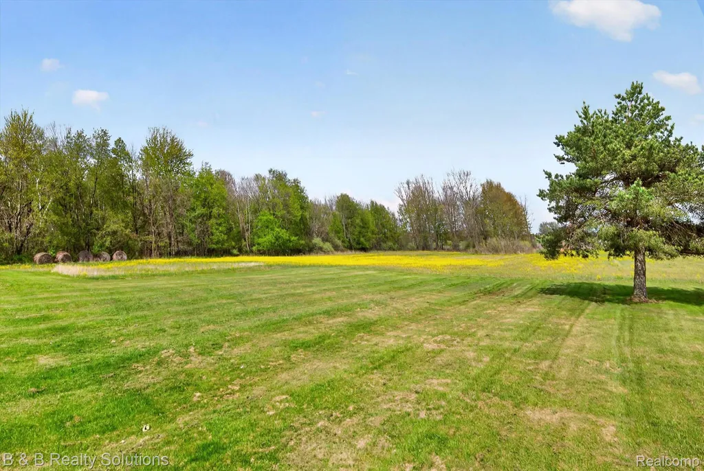 2927 N Blacks Corners Road Goodland Township MI 48444