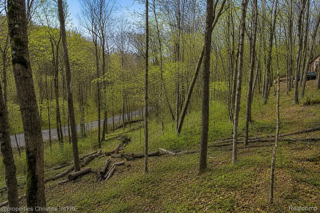 4001 Deskin Drive Custer Township MI 49615