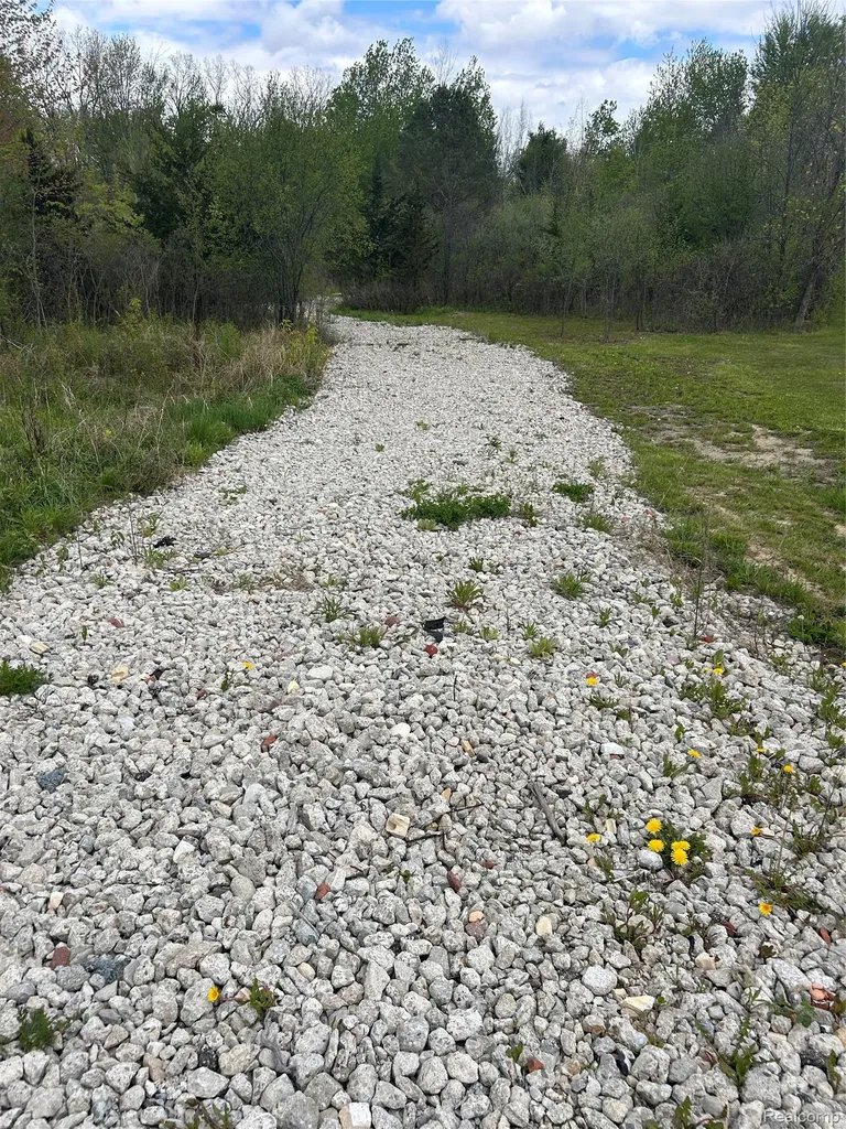 0000 Dixie Hwy Highway Birch Run Township MI 48415
