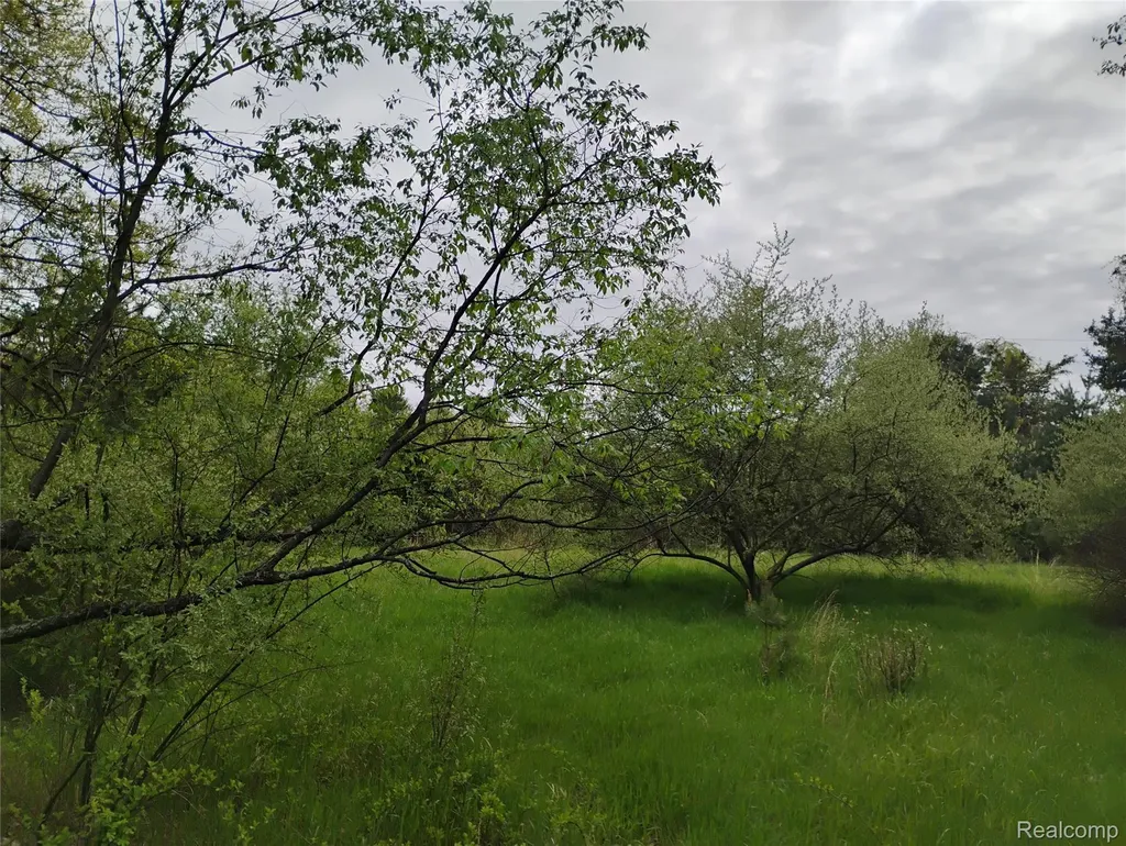000 Middle Parcel C Middle Road Highland Charter Township MI 48357